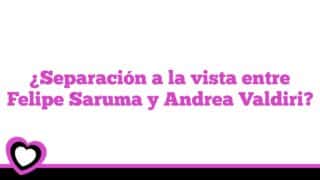 ¿Separación a la vista entre Felipe Saruma y Andrea Valdiri?